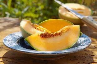 瓜不甜可以吃吗,瓜不甜也能吃？揭秘不甜瓜子的美味奥秘