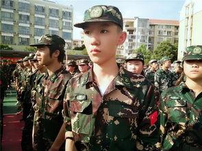 军训舞蹈吃瓜群