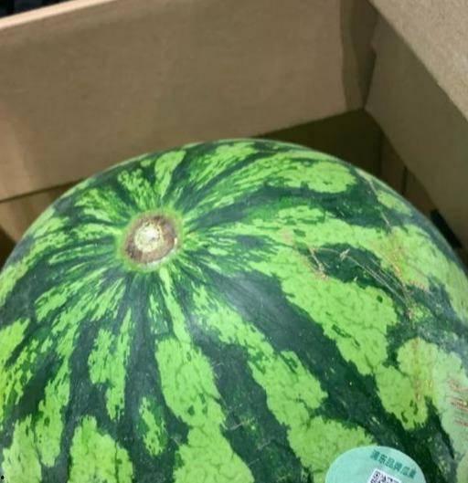 吃瓜管真假