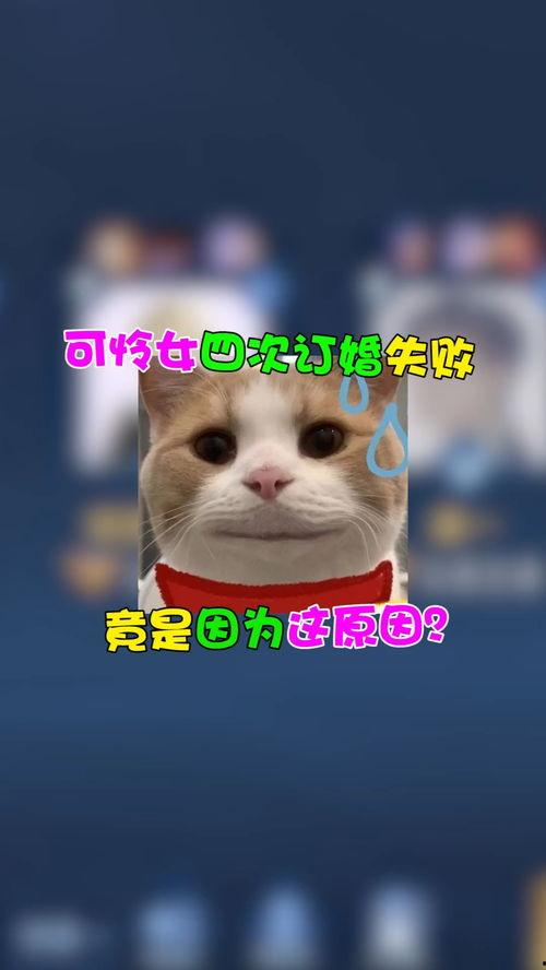 吃瓜家人们