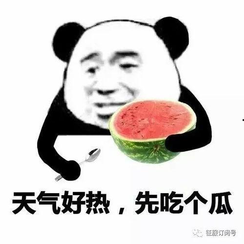 带你吃瓜隐身术