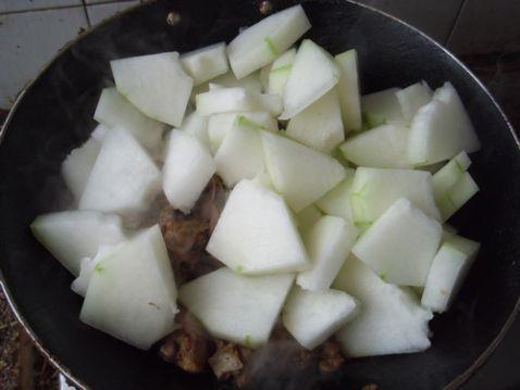 鸡吃瓜视频大全