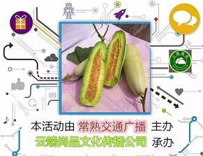 晚上吃羊角瓜,营养美味，养生新选择