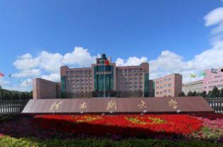 佳木斯大学吃瓜事件,校园风波背后的真相与反思